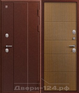 Входная дверьЛегион Т-1 (Металл\Металл) картинка